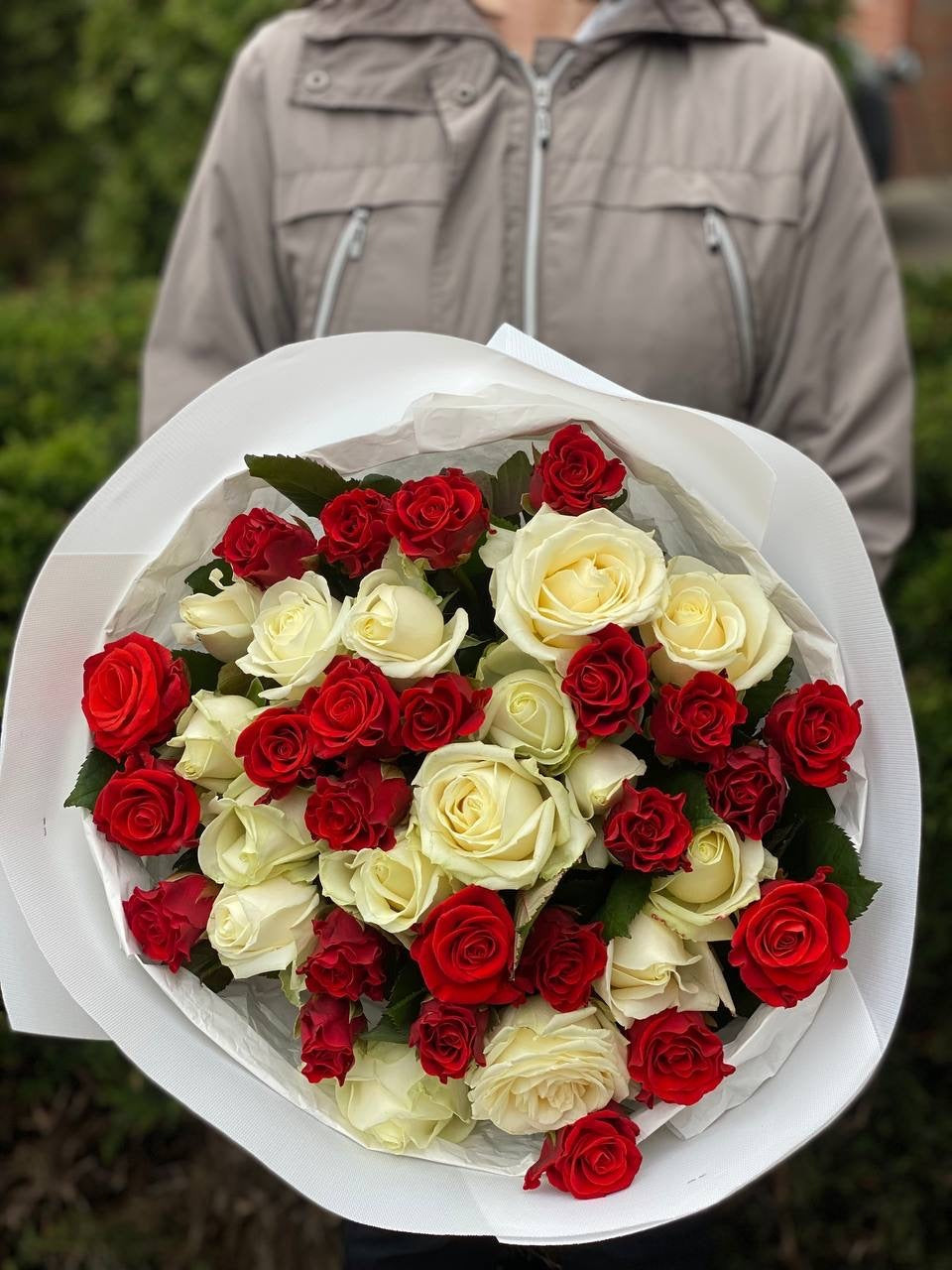 39 Rosen El Toro und Avalanche