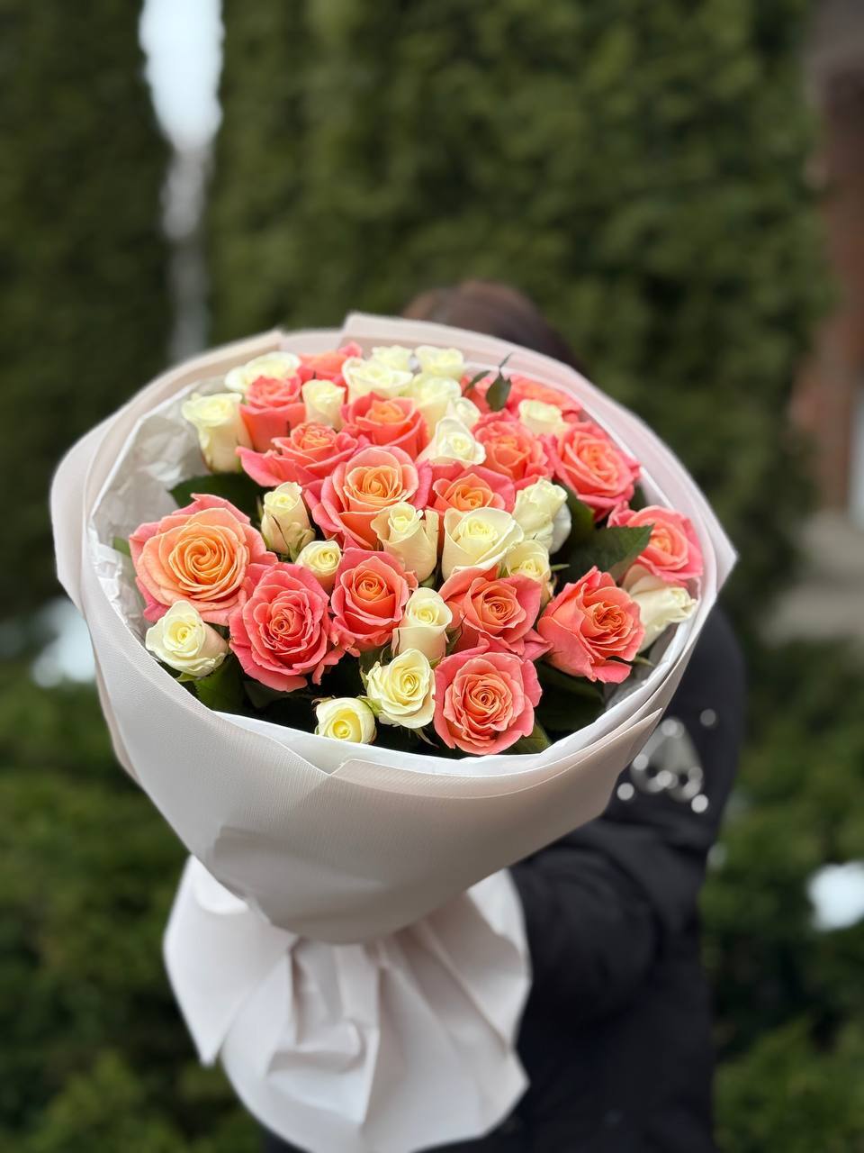 39 Rosen Miss Piggy und Beluga