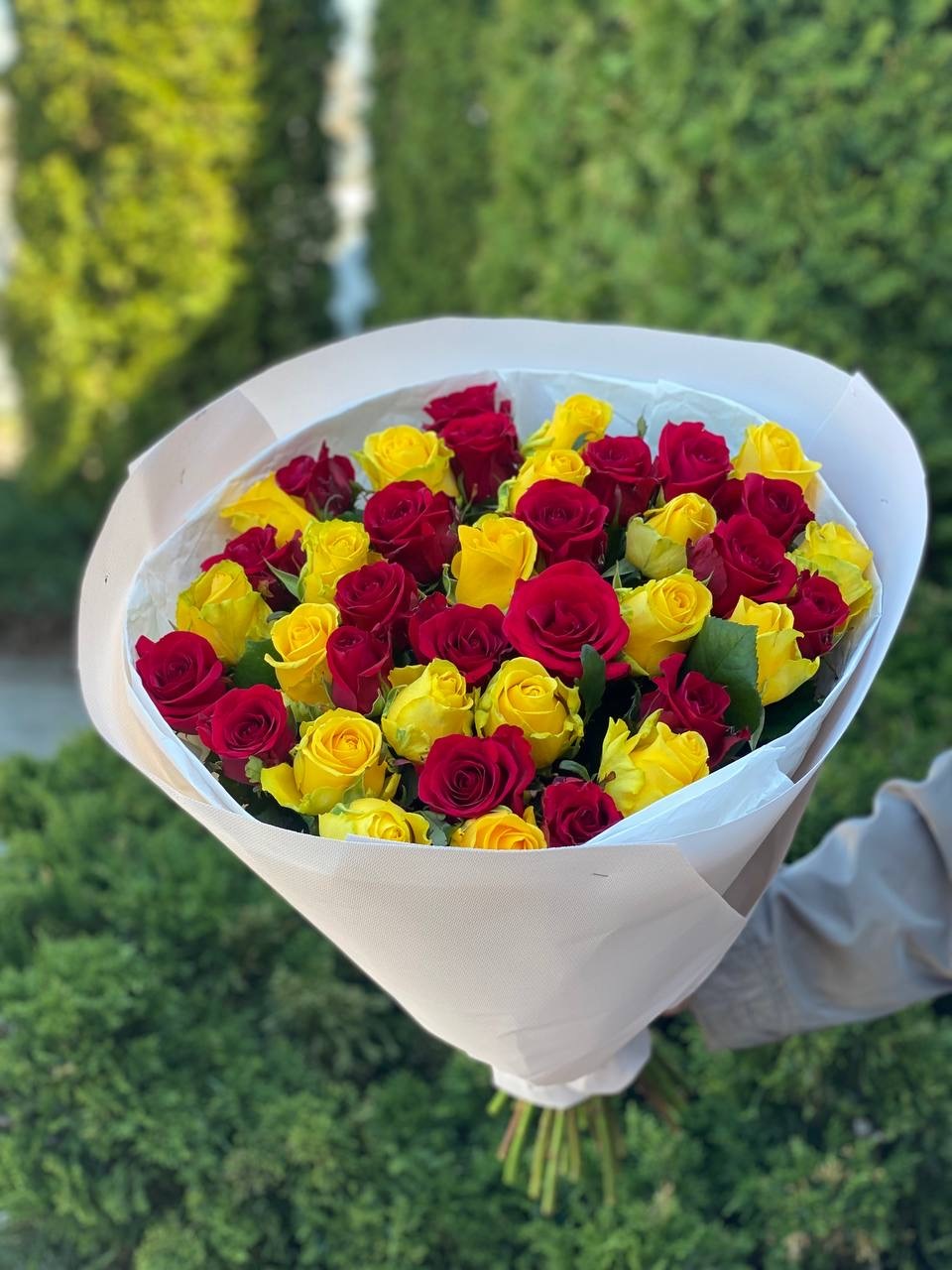 39 Rosen Penny Lane und Grand Prix
