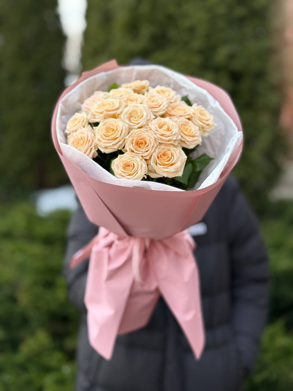 19 pfingstrosenartige Rosen Tanya