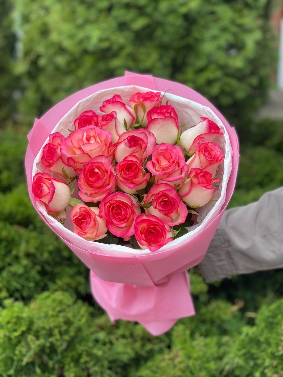 19 Rosen Jumilia