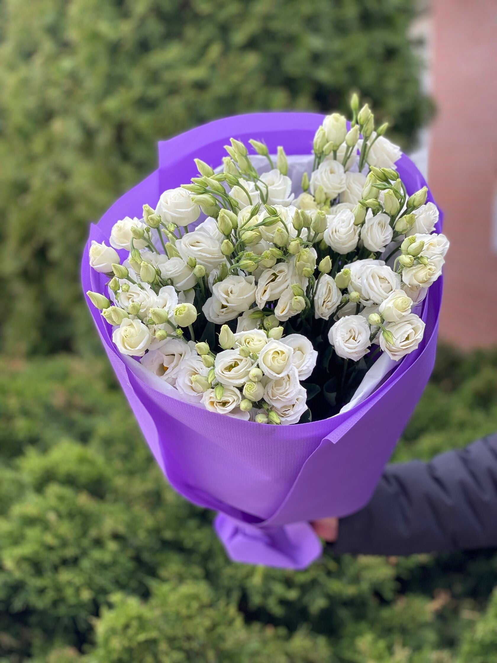 9 Stiele Eustoma weiß (70 cm)