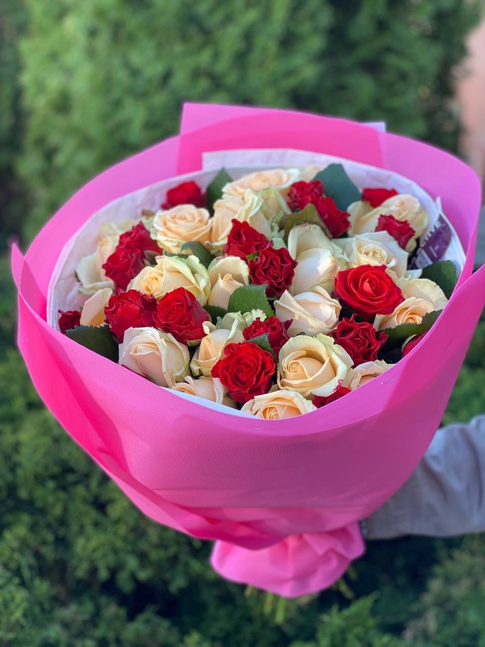 39 Rosen El Toro und Peach Avalanche