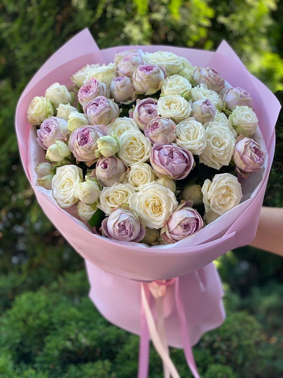 39 Rosen Miss Bombastic und Lavender