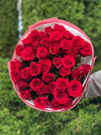 39 Rosen Red Eagle