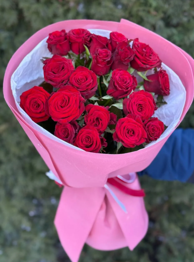 19 Rosen Prestige