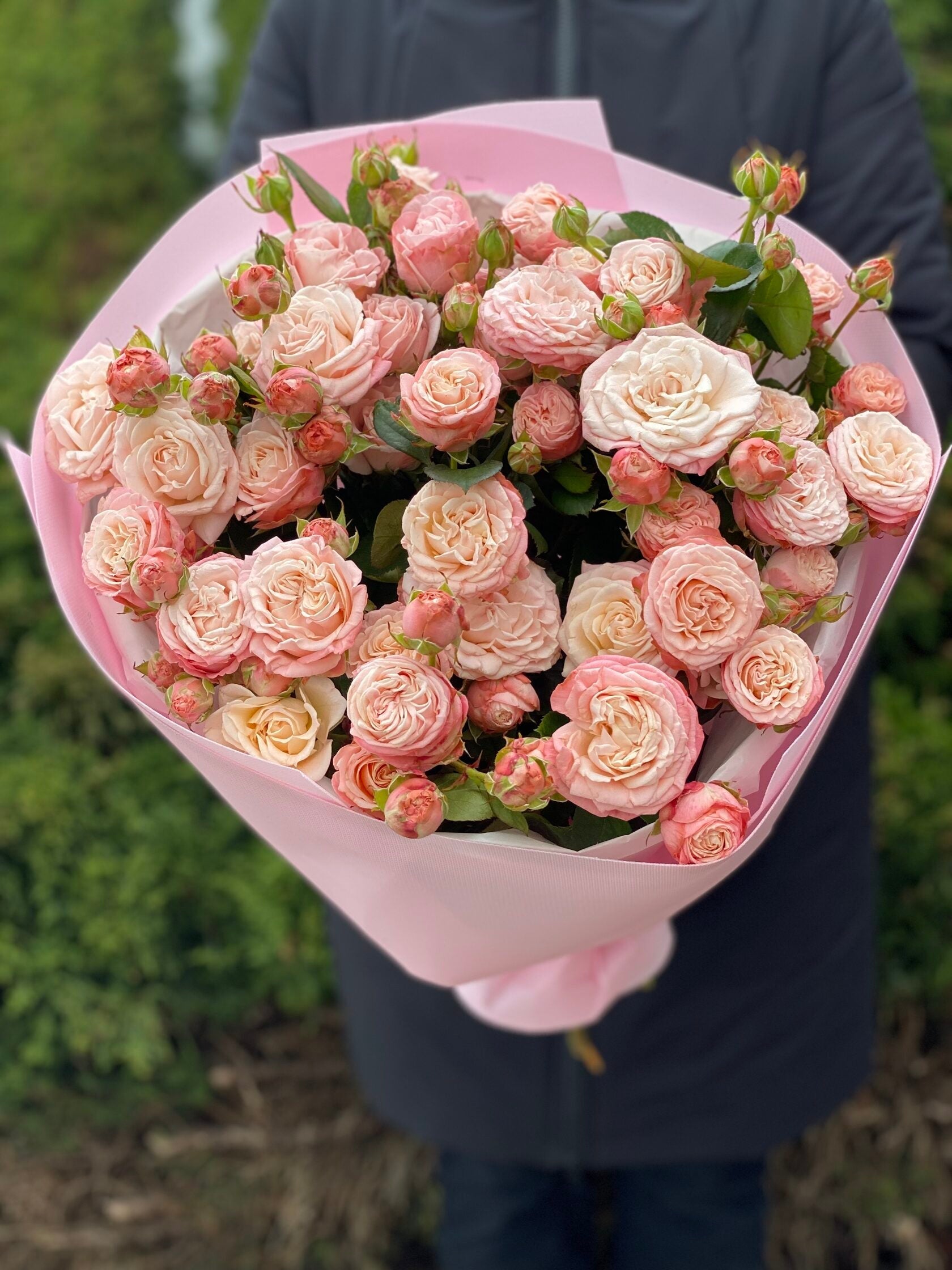 19 pfingstrosenartige Rosen Madam Bombastic