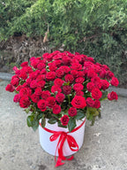 Blumen in der Hutbox L 101 Rosen (Rot)