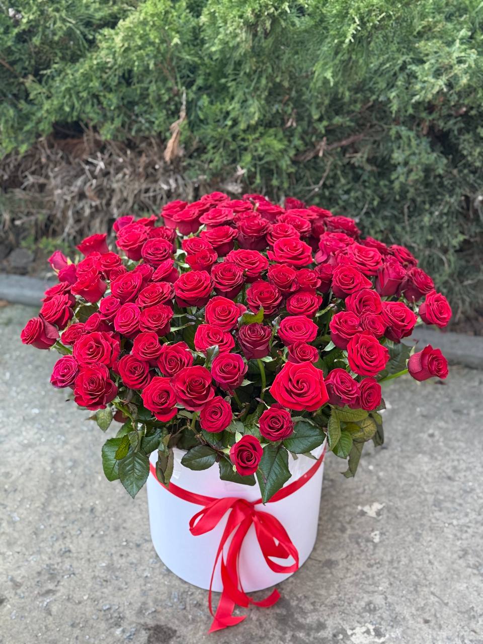 Blumen in der Hutbox L 101 Rosen (Rot)