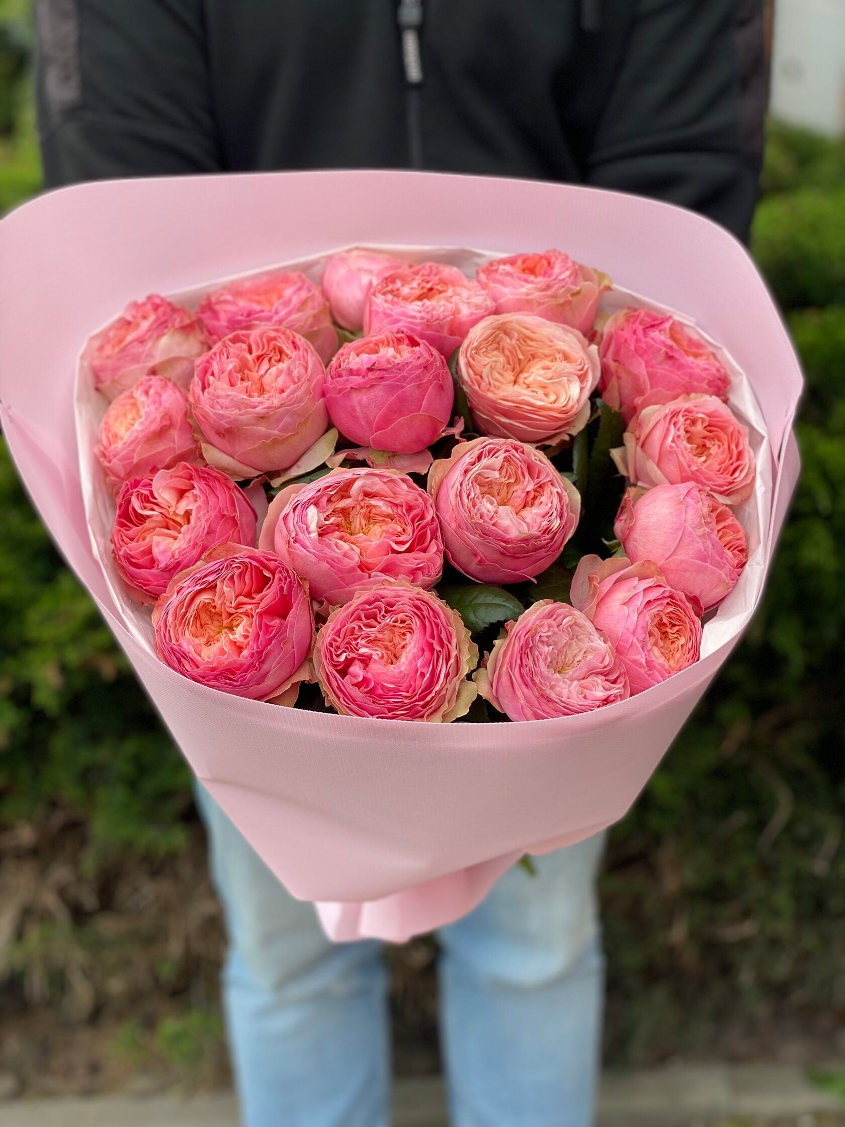 19 pfingstrosenartige Rosen Harper