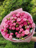 51 pfingstrosenartige Rosen Lady Bombastic