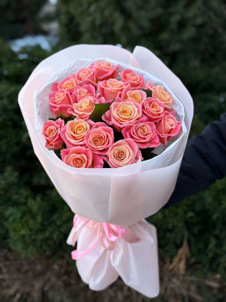 19 Rosen Miss Piggy