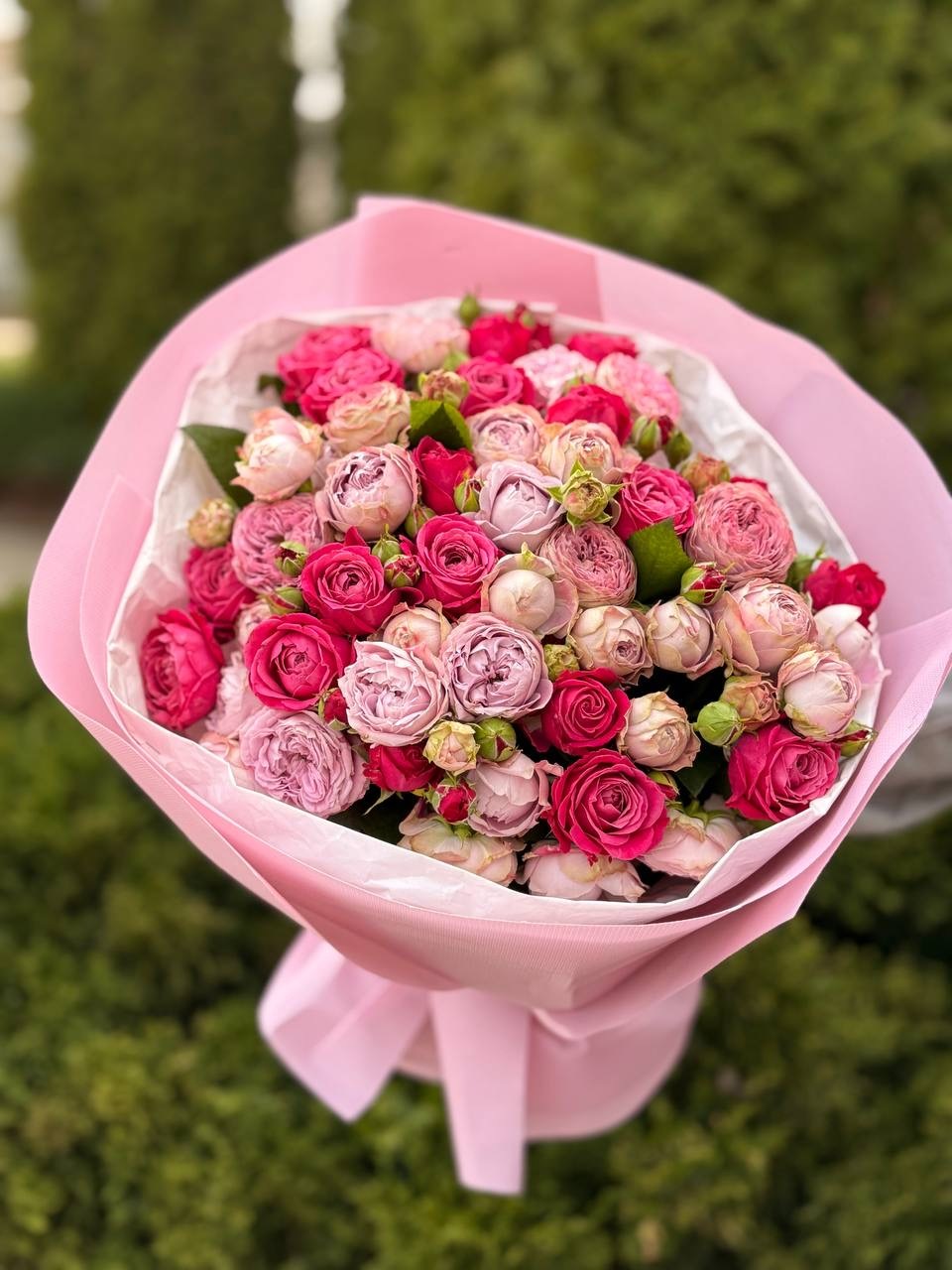 39 Rosen Lavender und Majestic