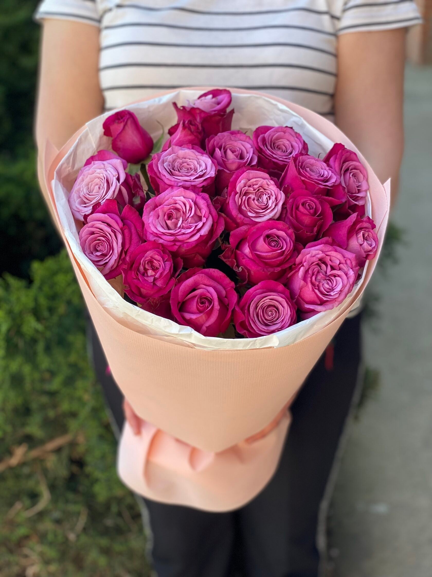 19 Rosen Prince Persia