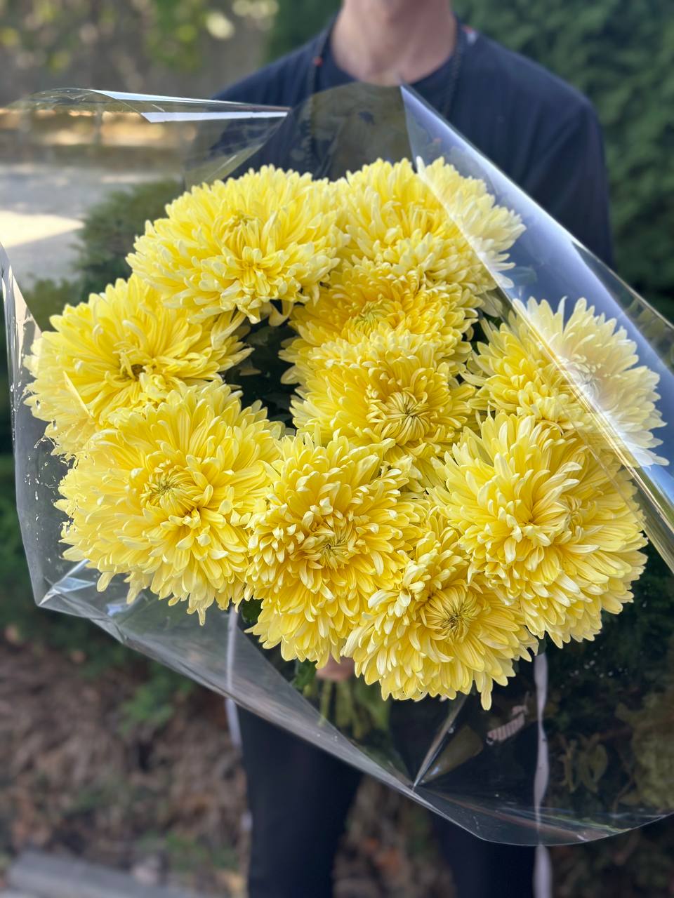 9 einblütige Chrysanthemen (gelb)