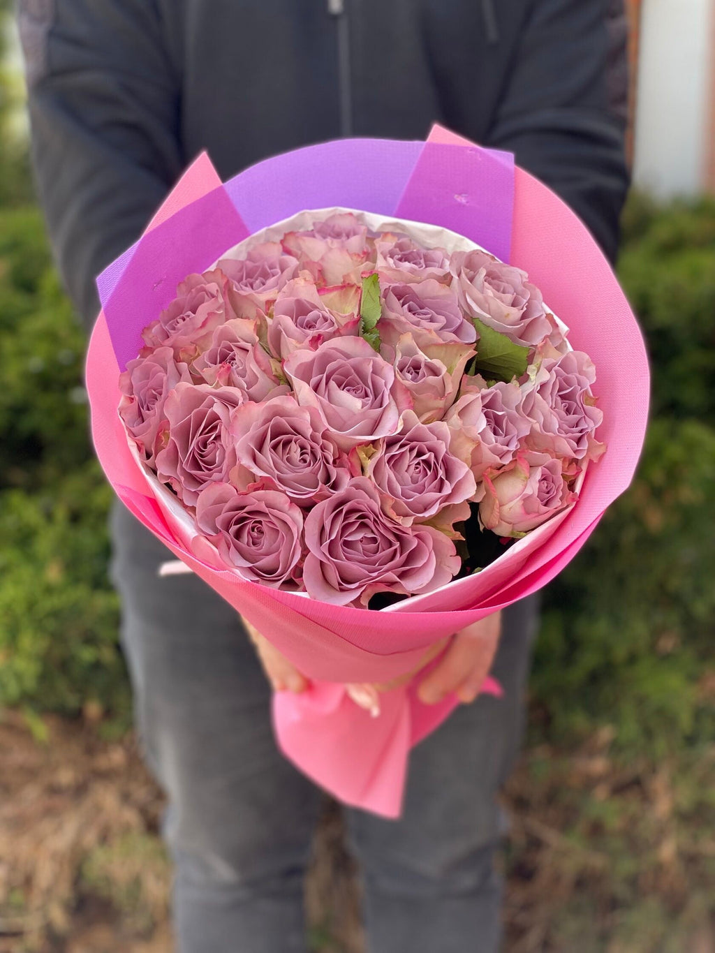19 Rosen Hollandia Violet