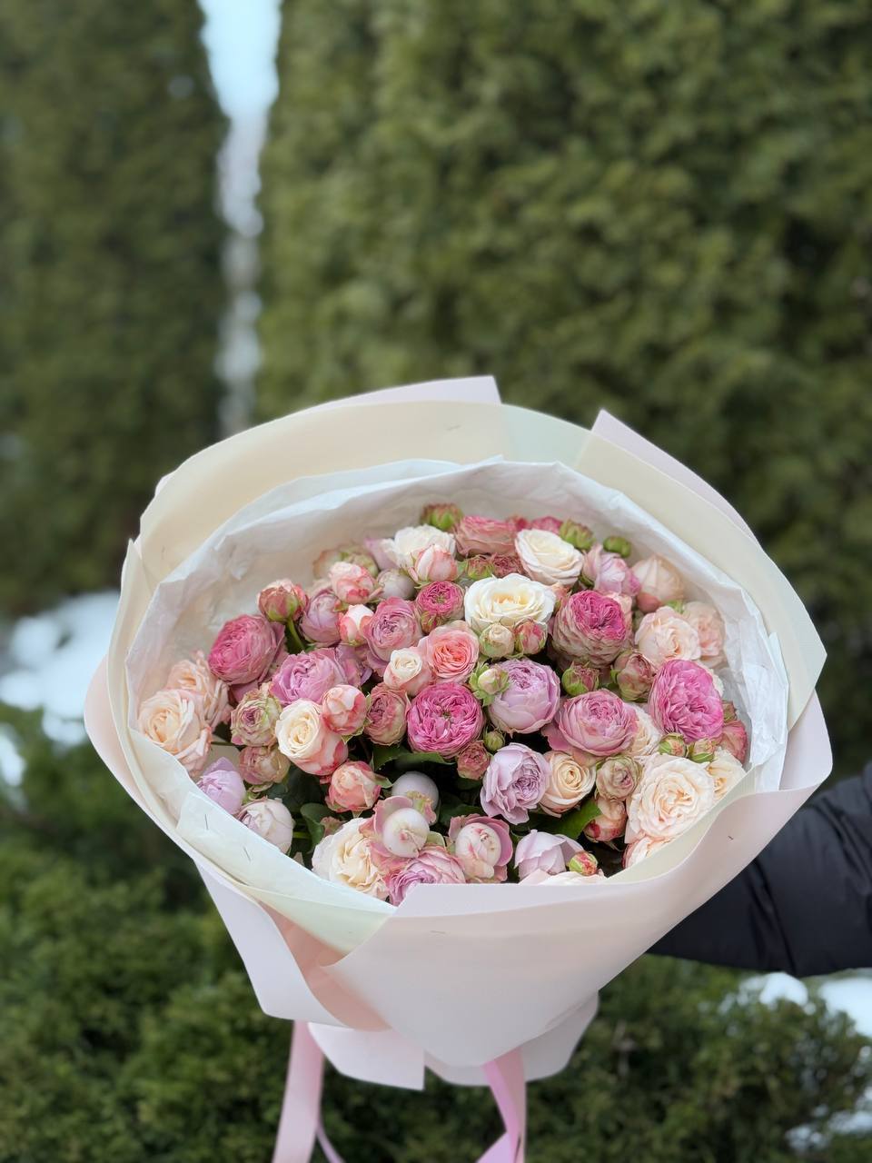 39 Rosen Bombastic und Lavender