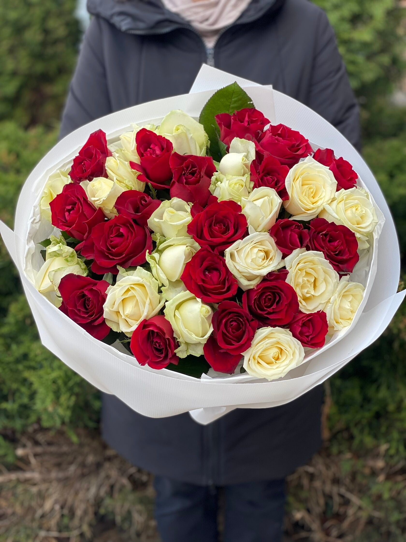 39 Rosen Grand Prix und Avalanche