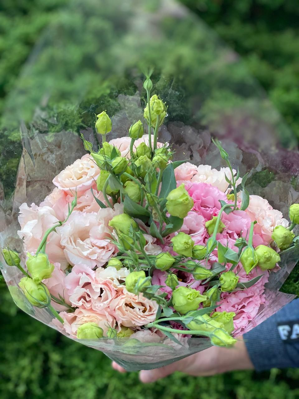 19 Stiele Eustoma (70 cm) rosa