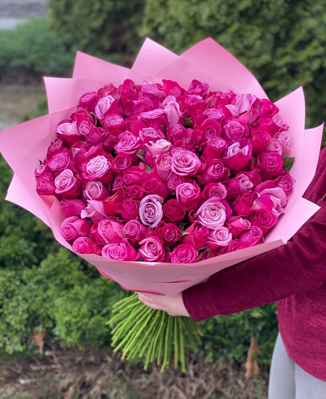 101 Rosen Prince Persia