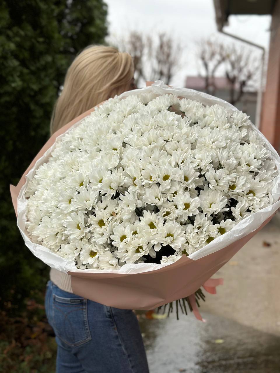 Neue Verpackung 49 Stiele - Weiße Margeriten-Chrysantheme
