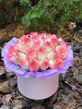 Hutbox M Rosen Jumilia
