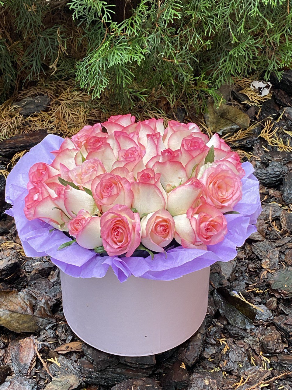 Hutbox M Rosen Jumilia