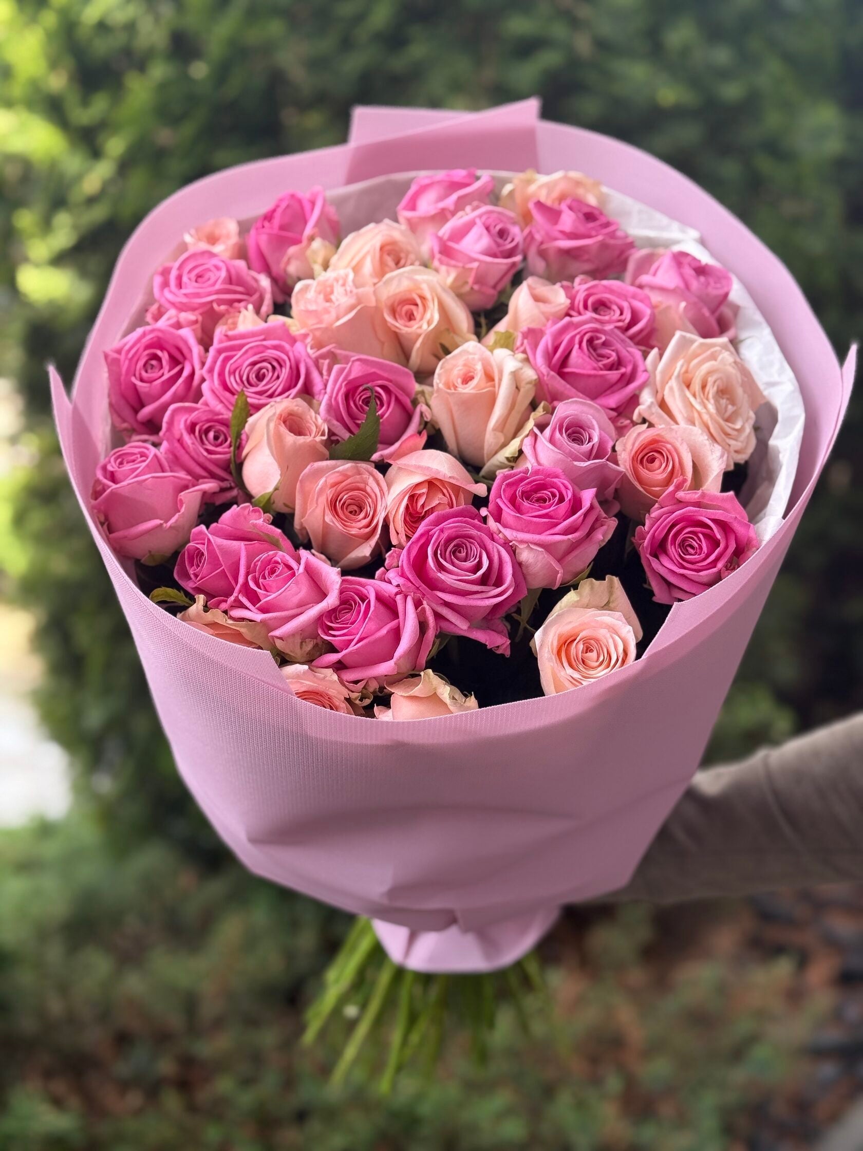 39 Rosen Aqua und Kimberly