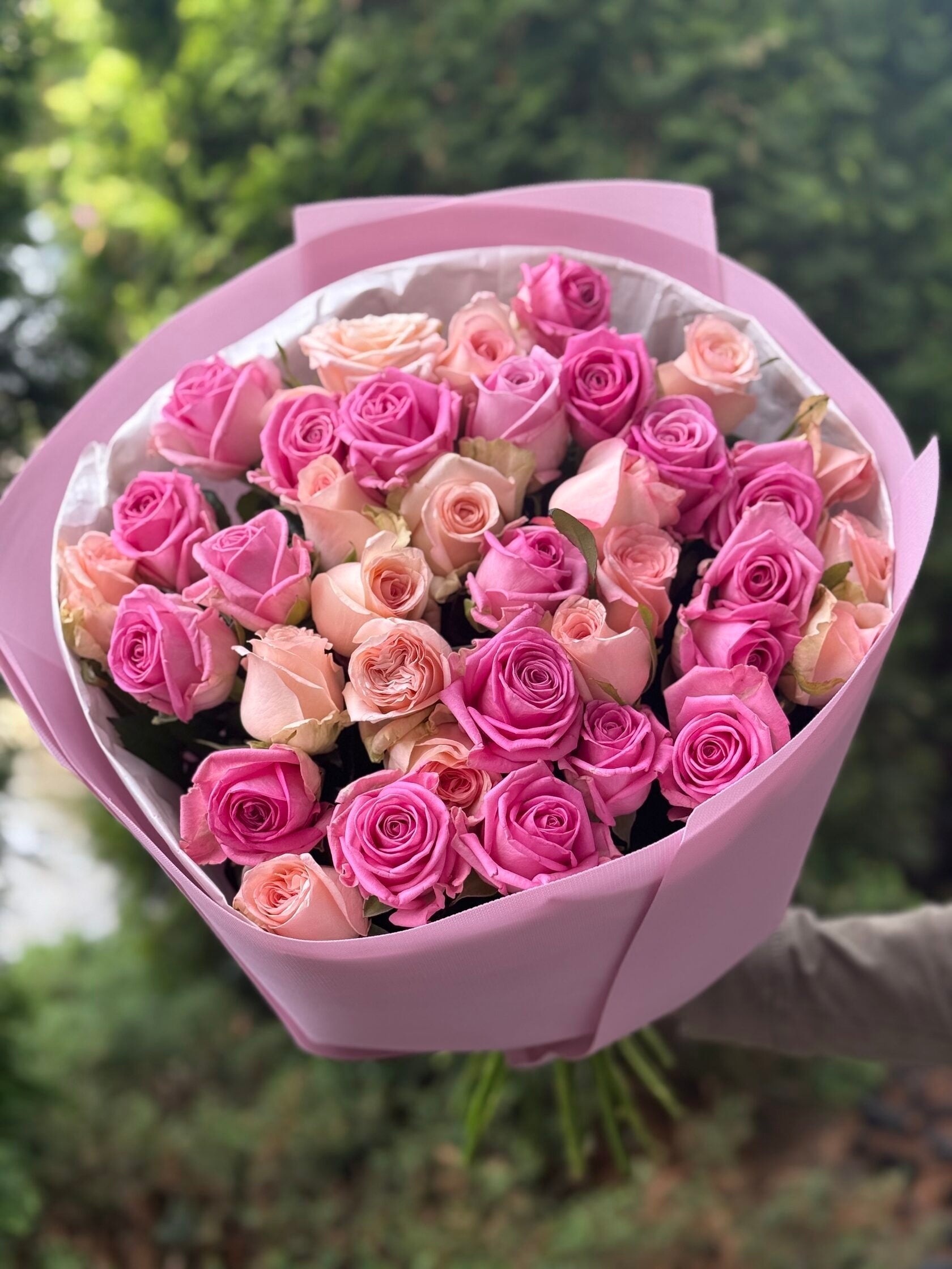 39 Rosen Aqua und Kimberly