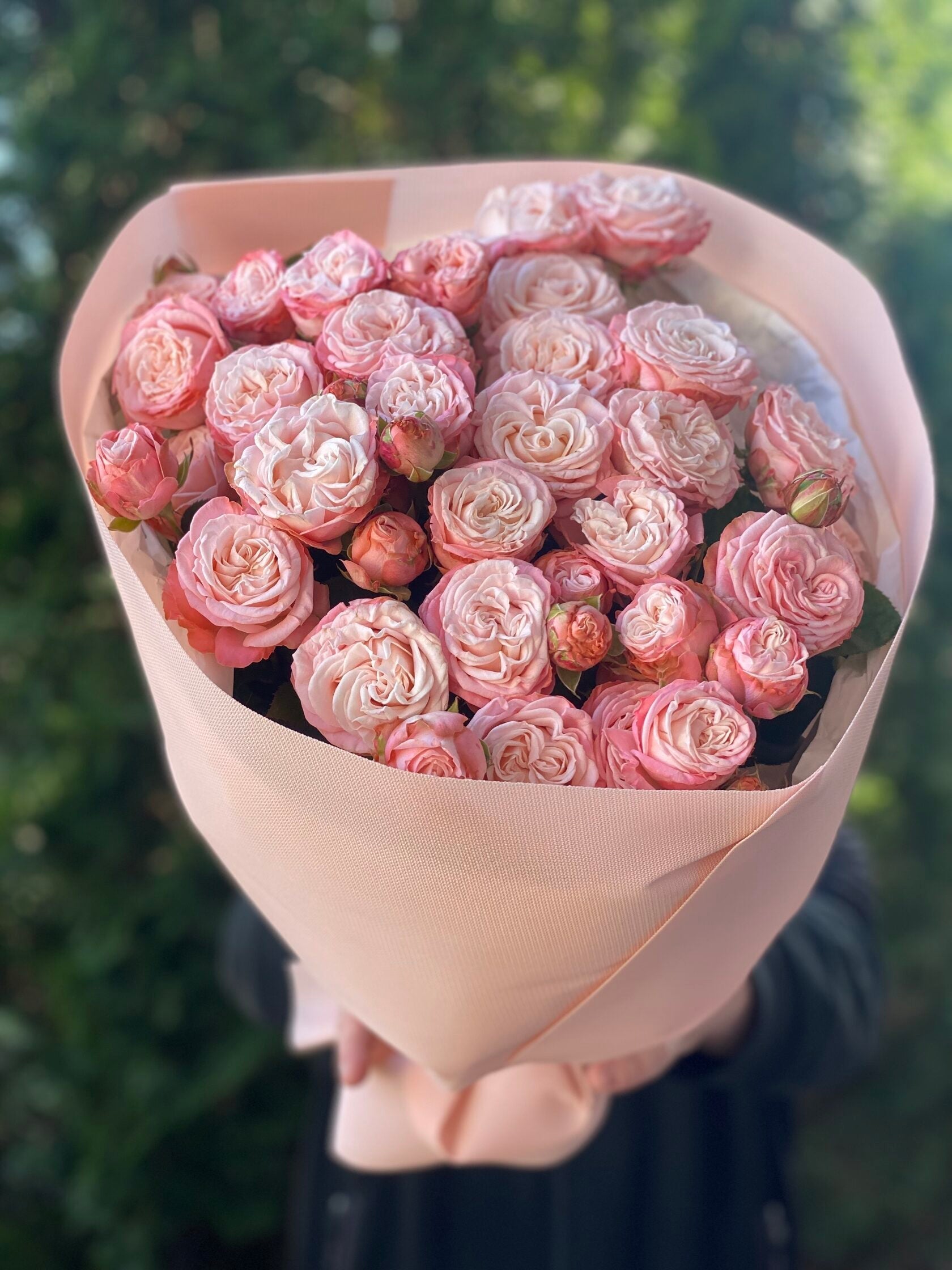 19 pfingstrosenartige Rosen Madam Bombastic