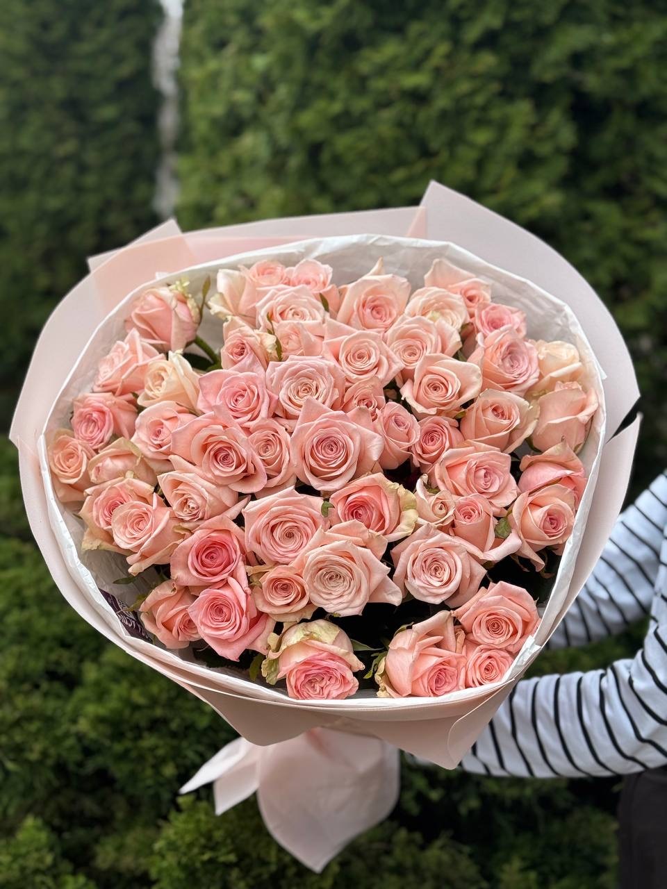51 Rosen Kimberly