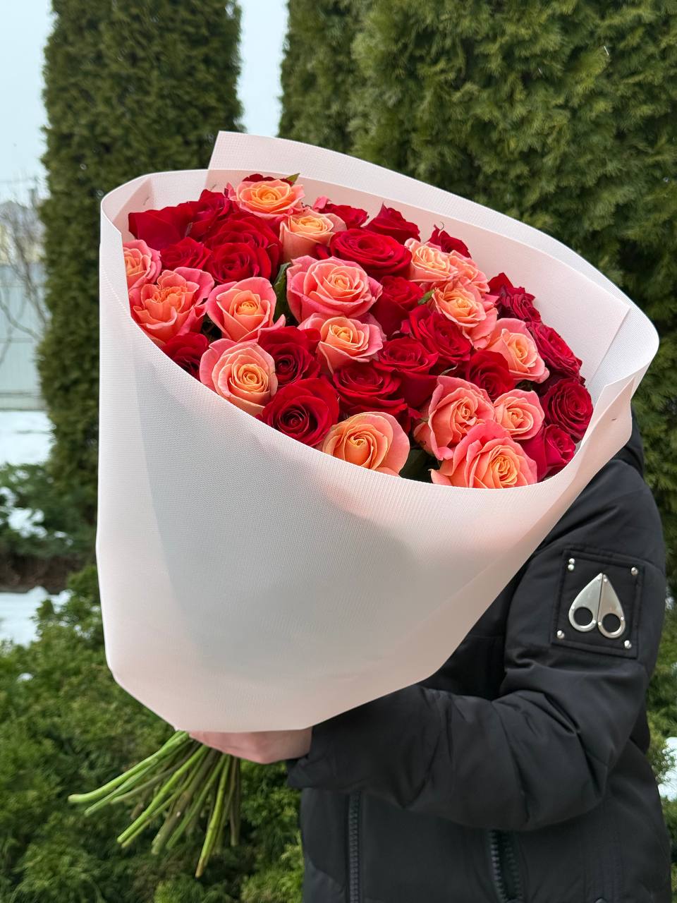 39 Rosen Miss Piggy und Red Eagle