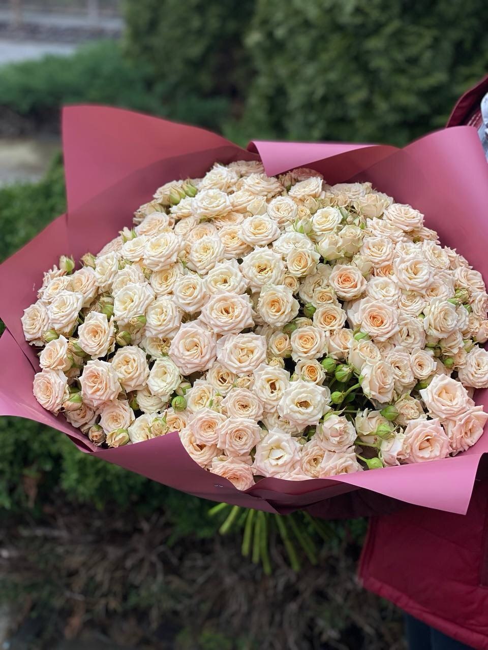 101 Rosen Tanya