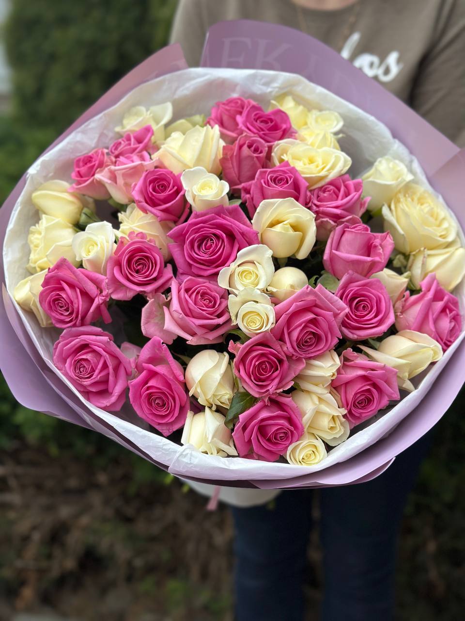 39 Rosen Beluga und Aqua