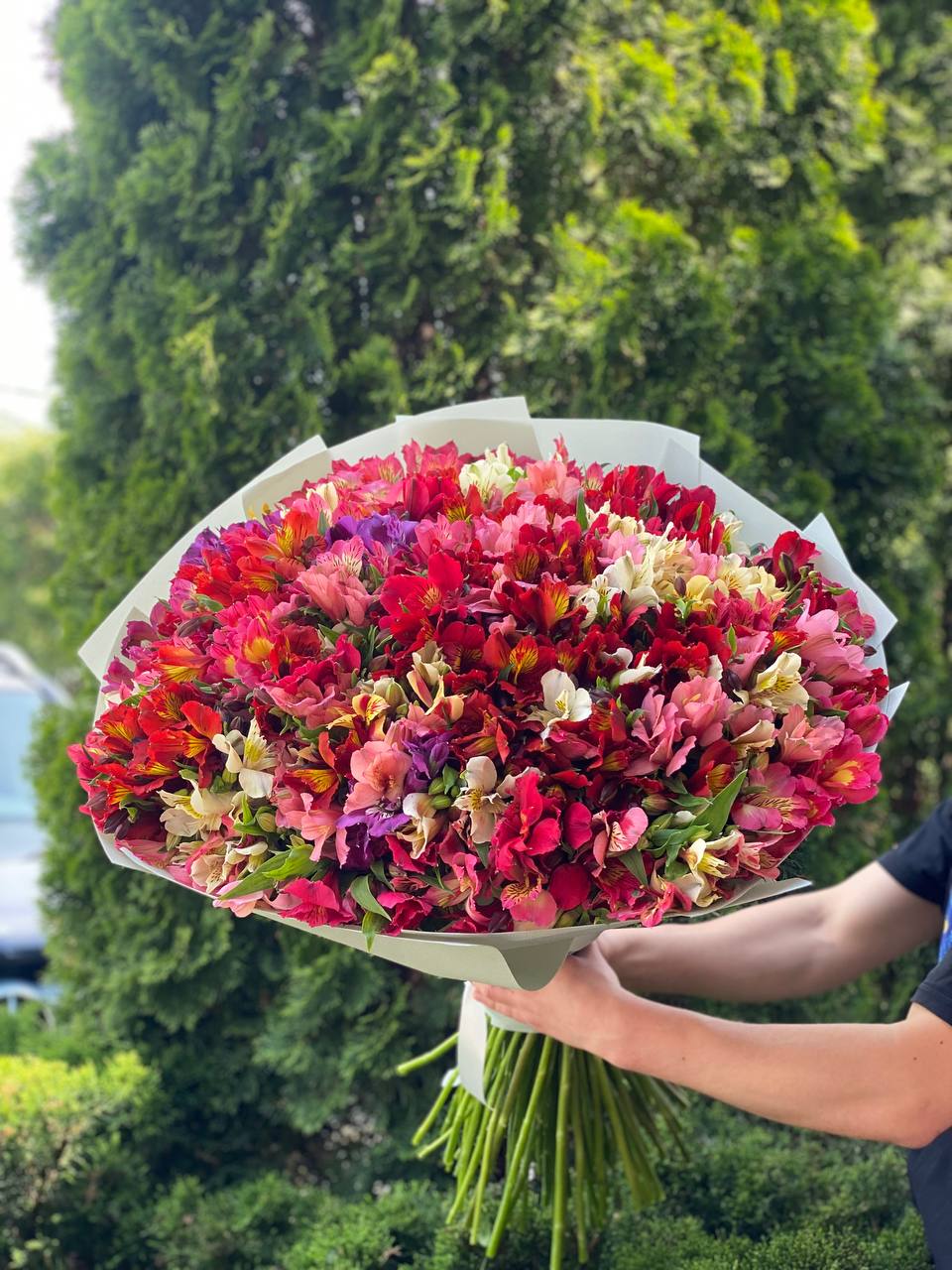 Bouquet 101 Alstroemeria