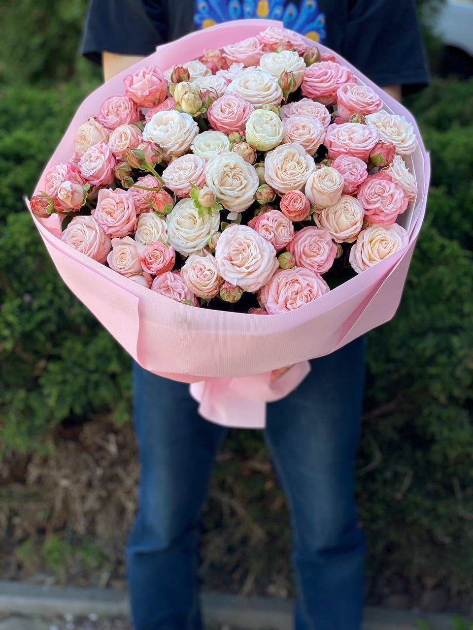39 Rosen Prince Bombastic und Bombastic