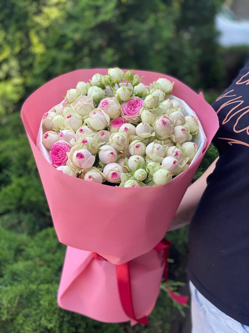 19 pfingstrosenartige Rosen Gelato