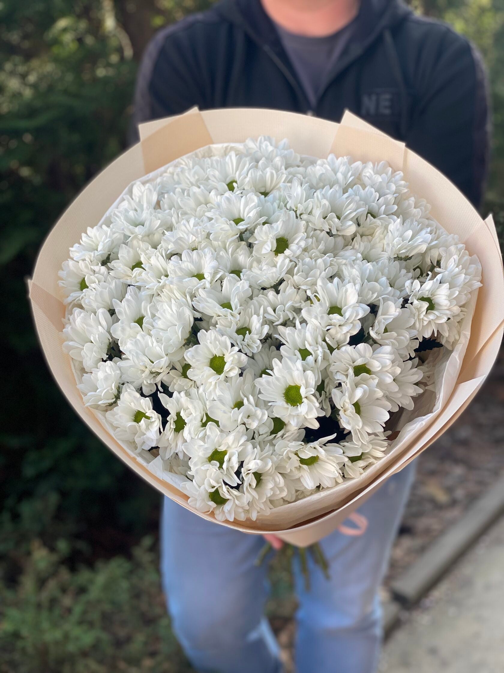 15 Margeriten-Chrysantheme (weiß)