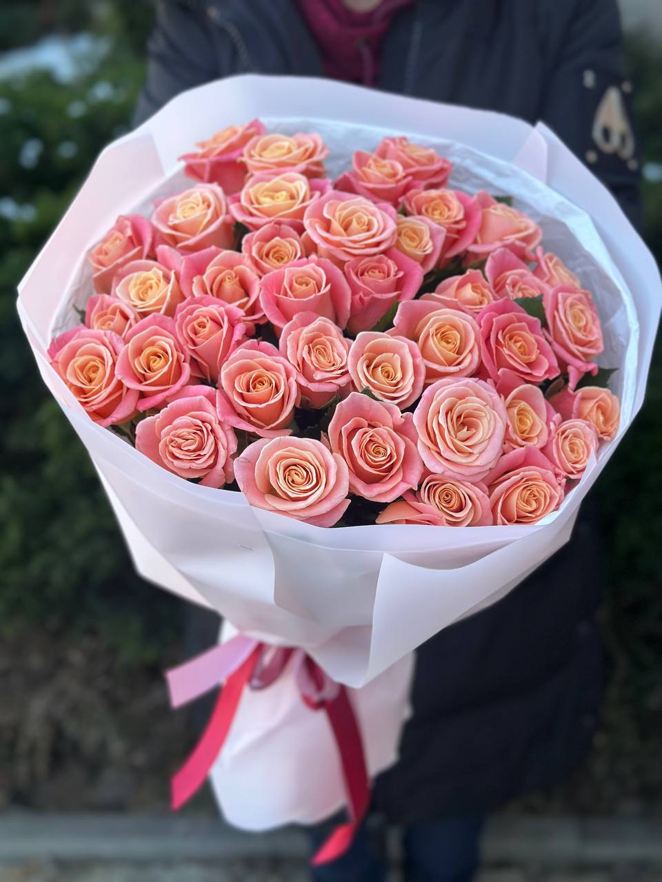39 Rosen Miss Piggy