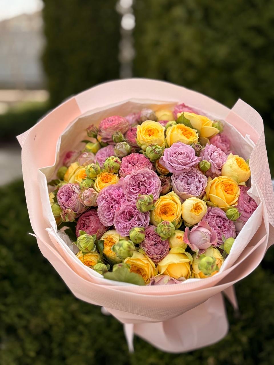 39 Rosen Lavender und Peony