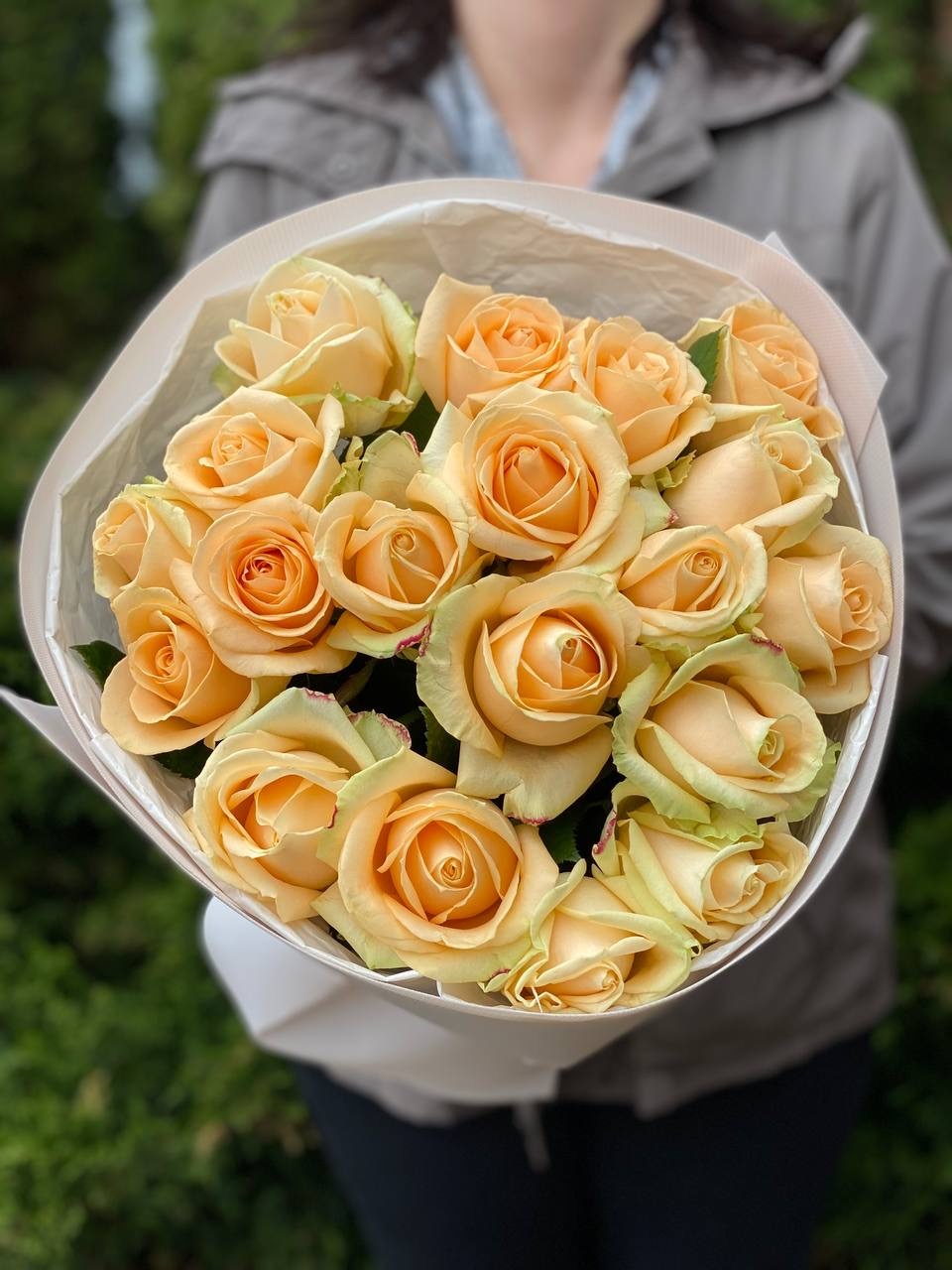 19 Rosen Peach Avalanche