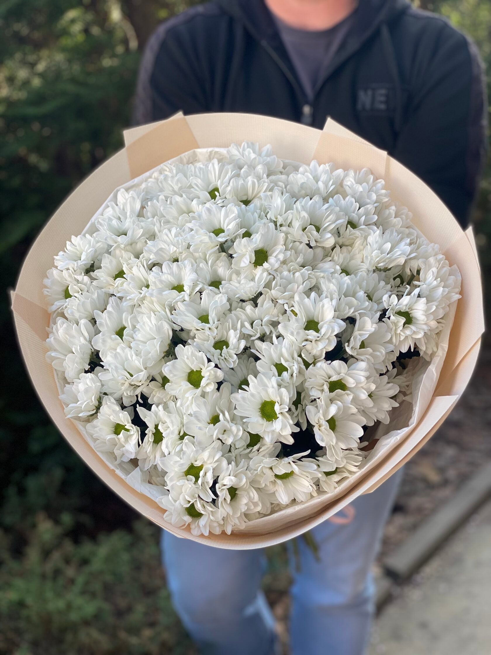 15 Margeriten-Chrysantheme (weiß)