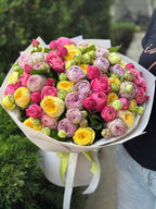 51 pfingstrosenartige Rosen (Lavender, Light, Peony)