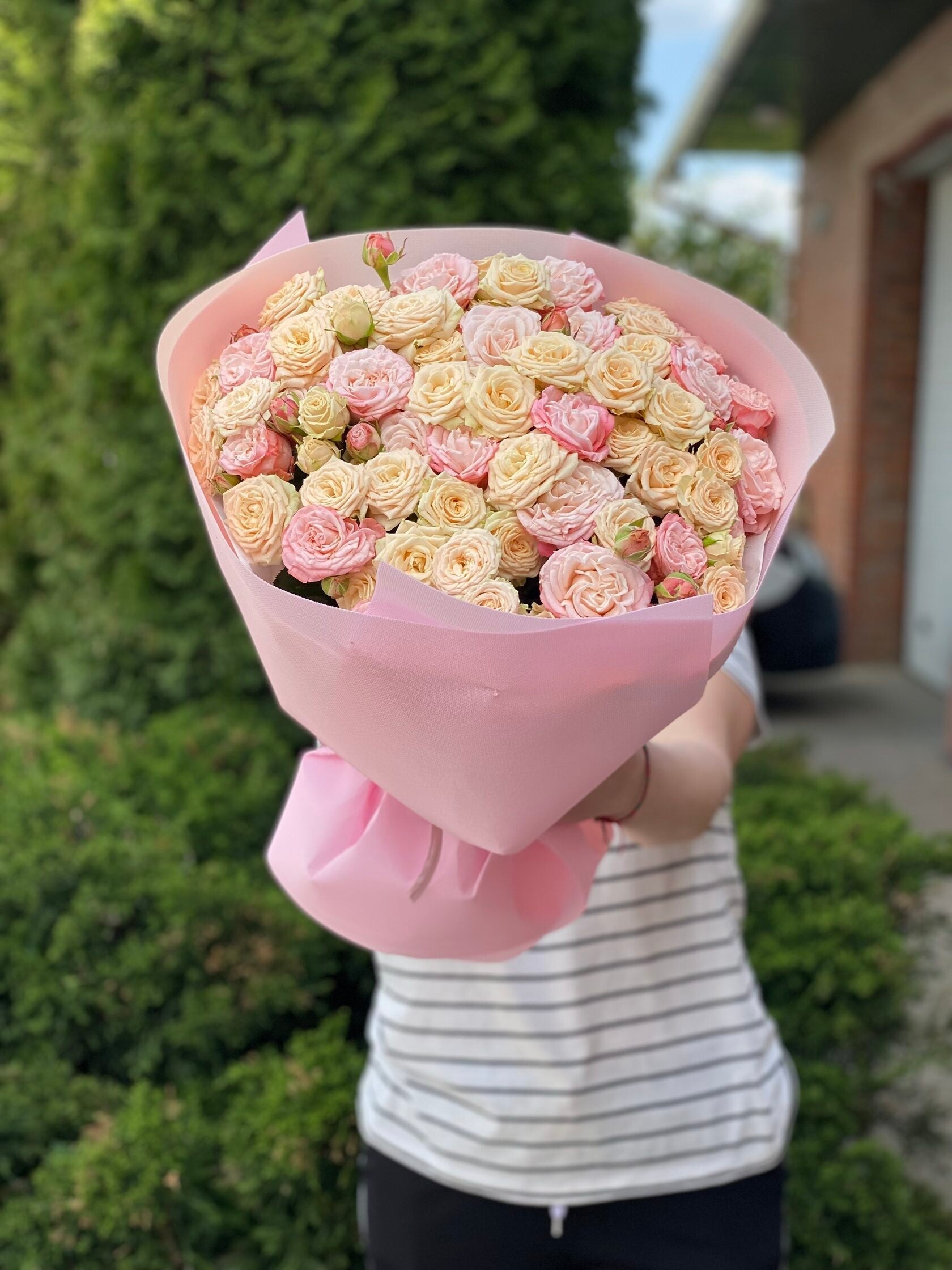 39 Rosen Tanya und Bombastic