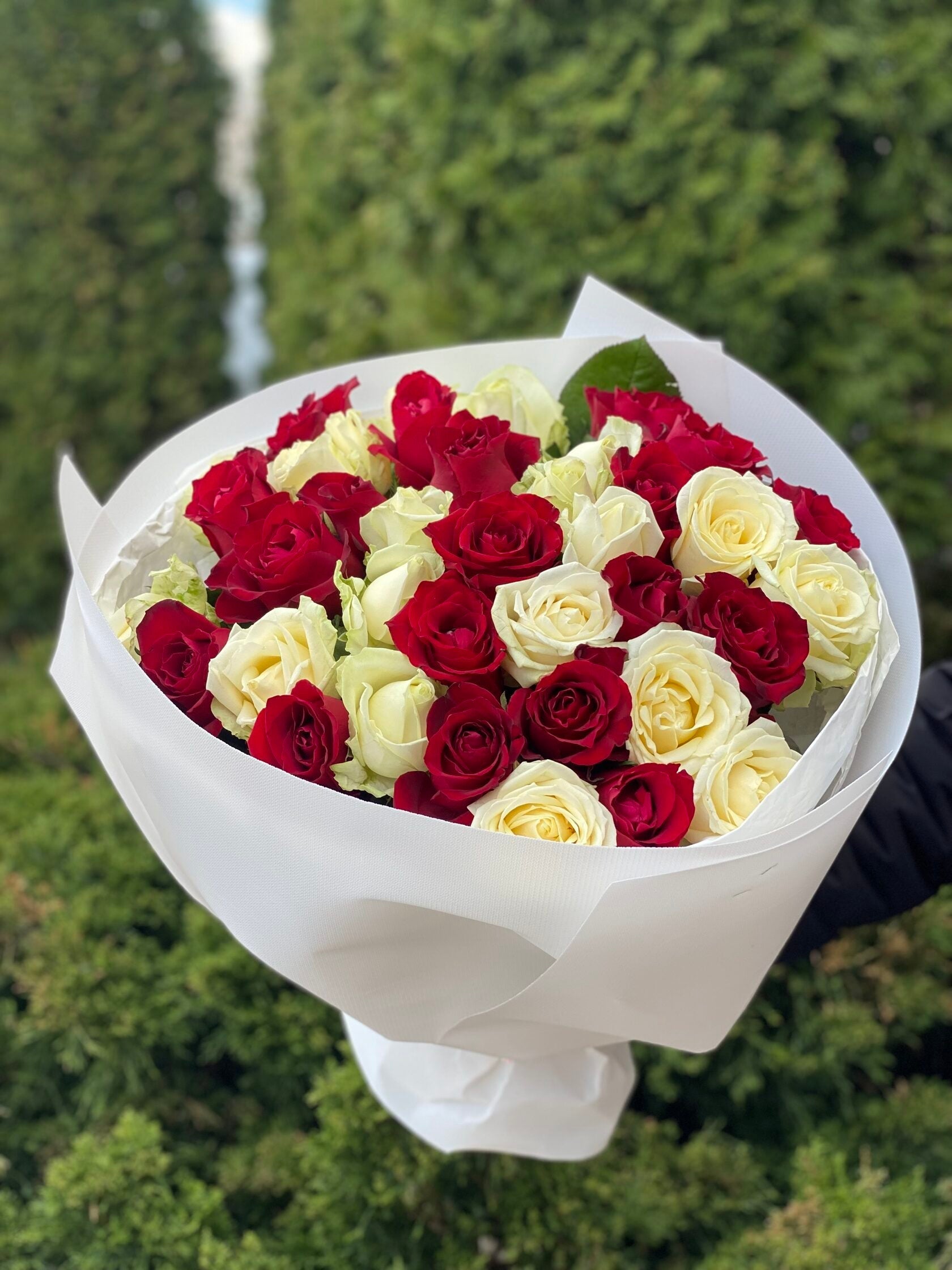 39 Rosen Grand Prix und Avalanche