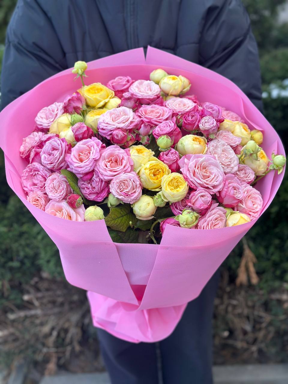 39 pfingstrosenartige Rosen Piony und Lady Bombastic