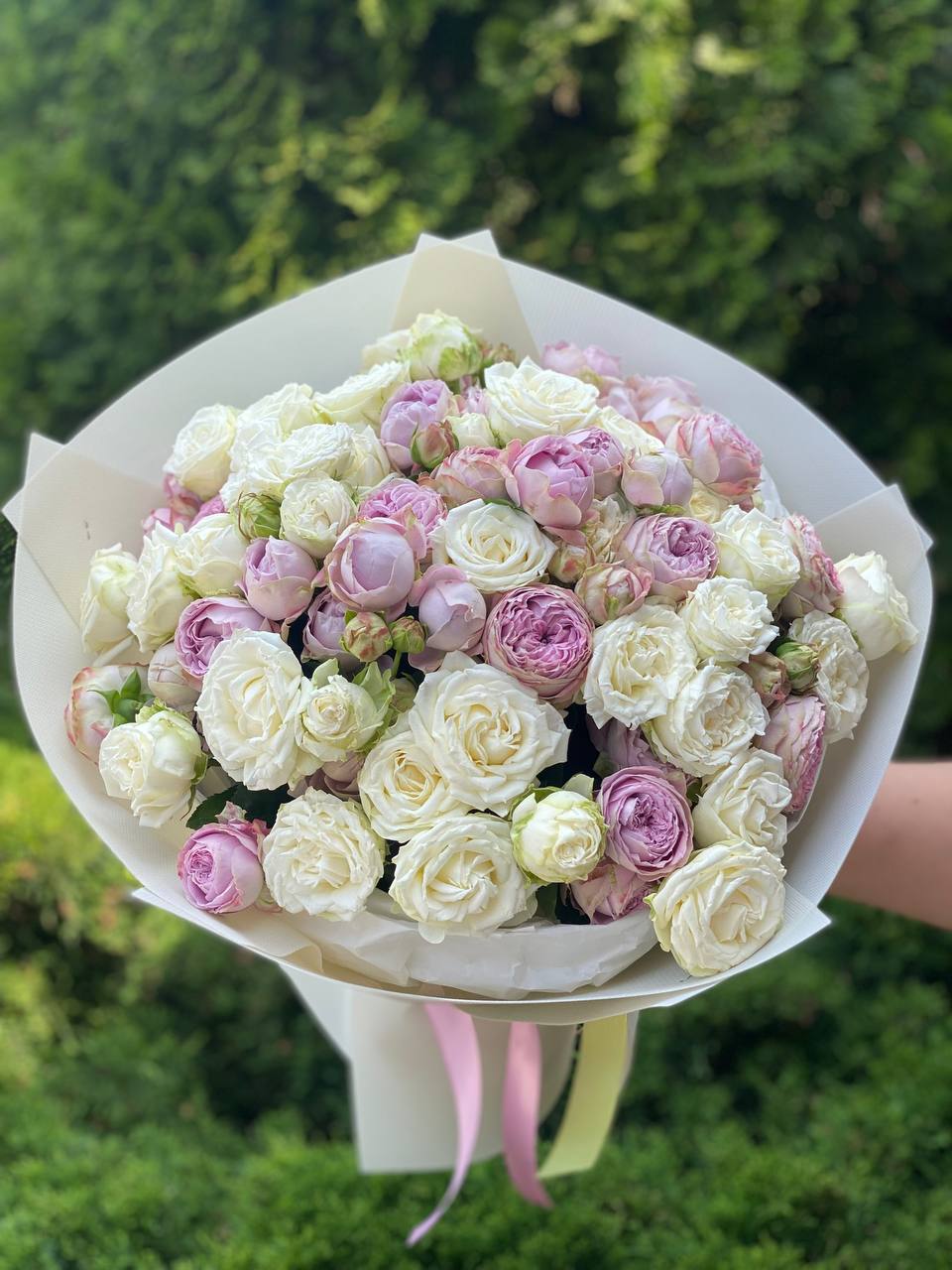 39 Rosen Miss Bombastic und Lavender