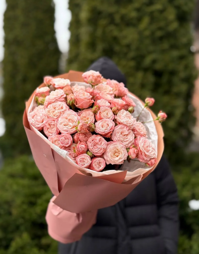 19 pfingstrosenartige Rosen Madam Bombastic