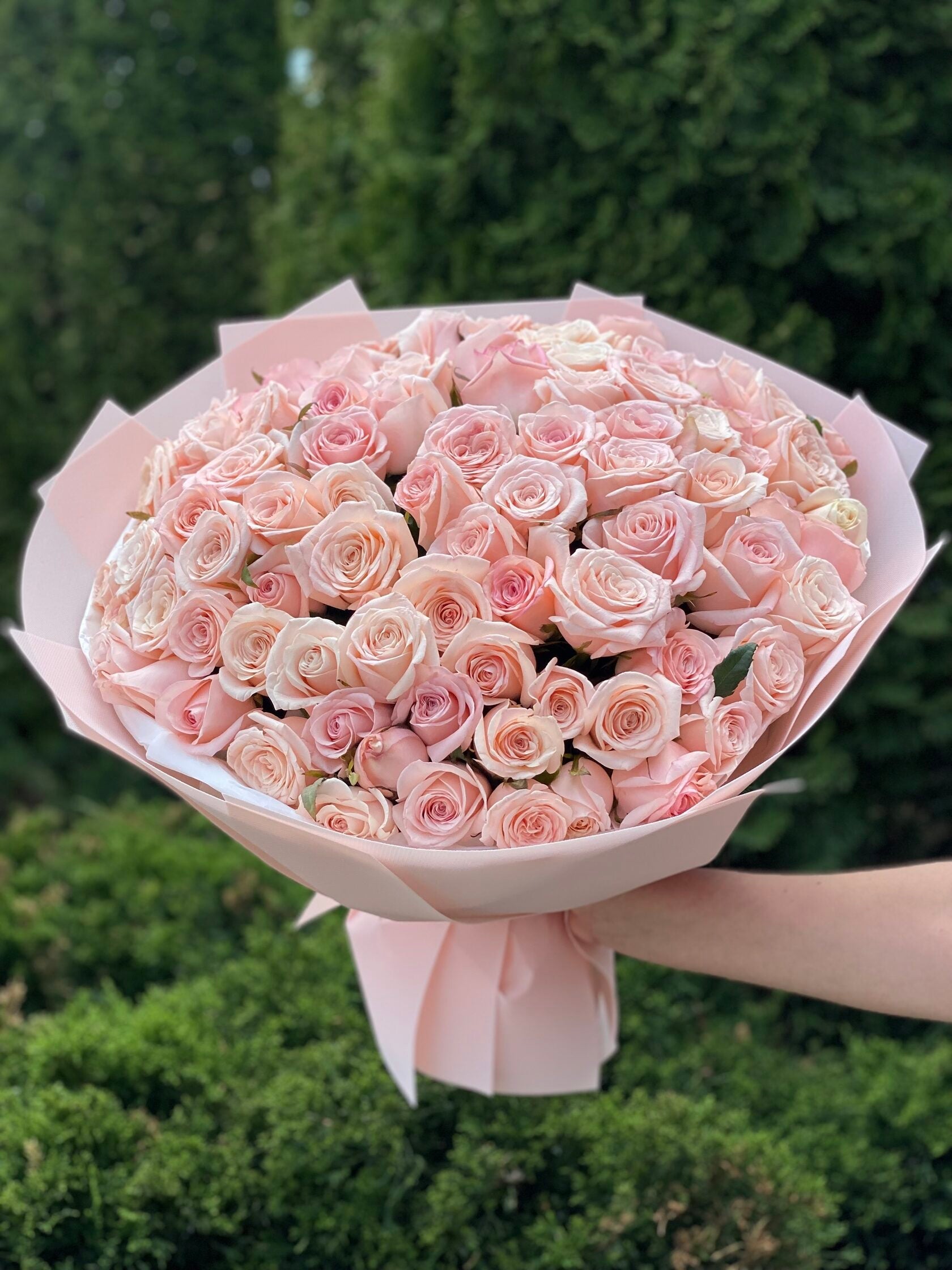 101 Rosen Kimberly
