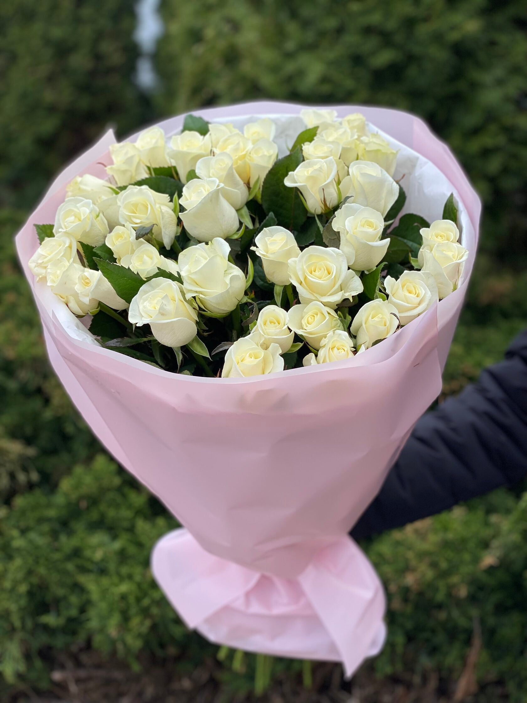 39 Rosen Beluga